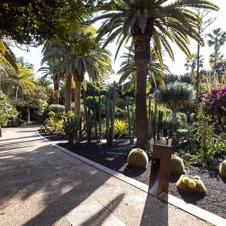 Home2book Bright Stadium Apartment, Cruz アパート サンタクルスデテネリフェ