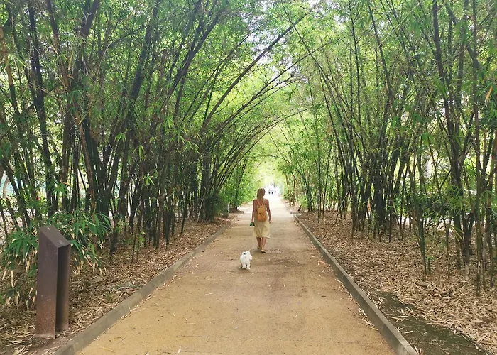 Home2book Bright Stadium Apartment, Cruz *