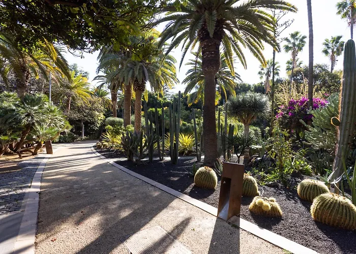 Home2book Bright Stadium Apartment, Cruz アパート サンタクルスデテネリフェ