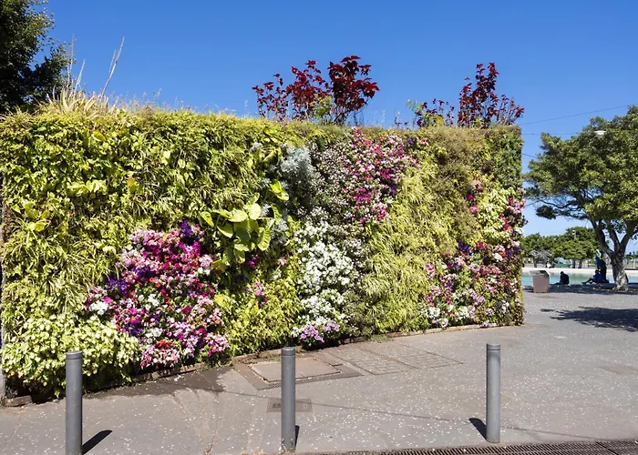 Home2book Bright Stadium Apartment, Cruz